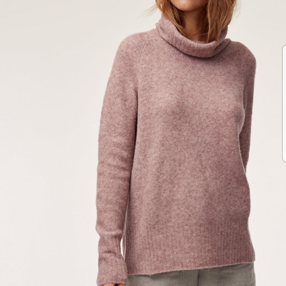 Aritzia Plutarch Sweater